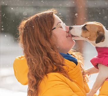 Dog Grooming Dubai Guide for Clean, Healthy, Happy Pets Dog Grooming Dubai Guide for Clean, Healthy, Happy Pets